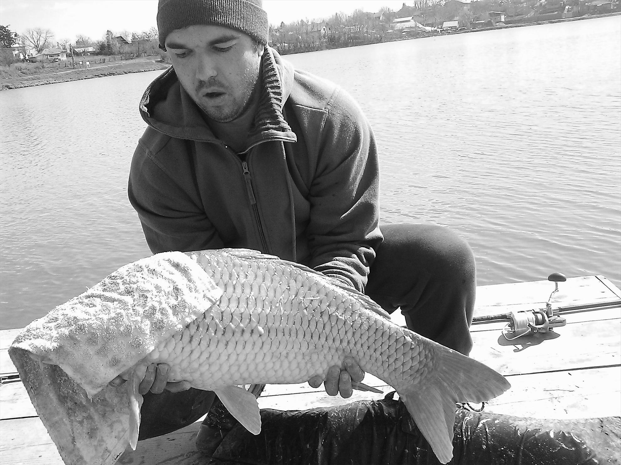 Fa-i poza daca poti... - wp201303230481.jpg